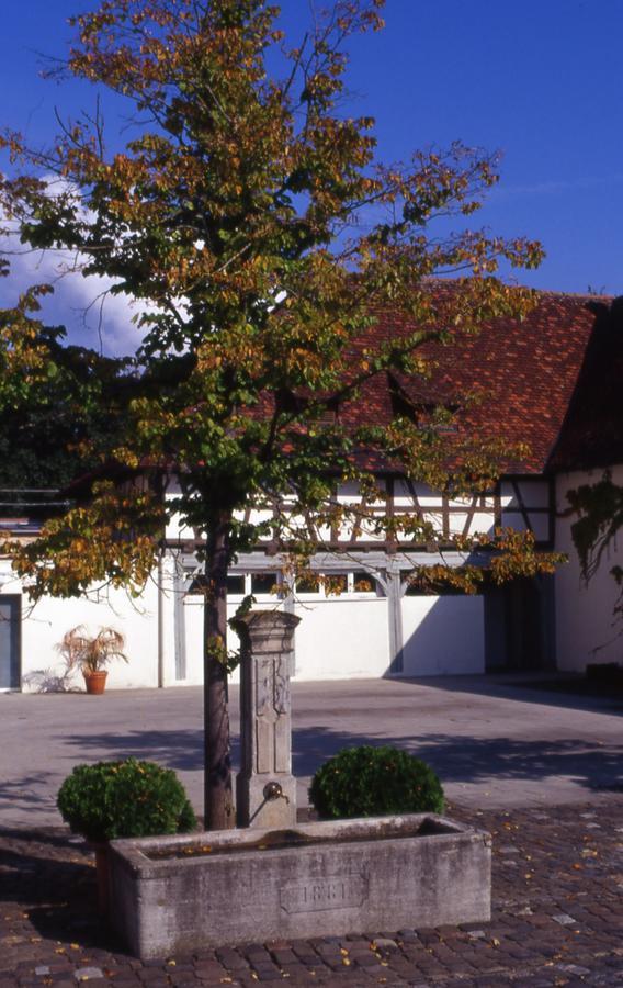 Markgraeflich Badischer Gasthof Schwanen Salem  Esterno foto